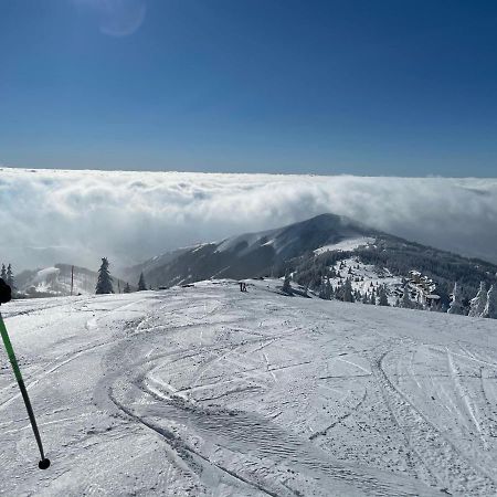 Kopaonik -Beautiful View Apartment- Skiing Εξωτερικό φωτογραφία