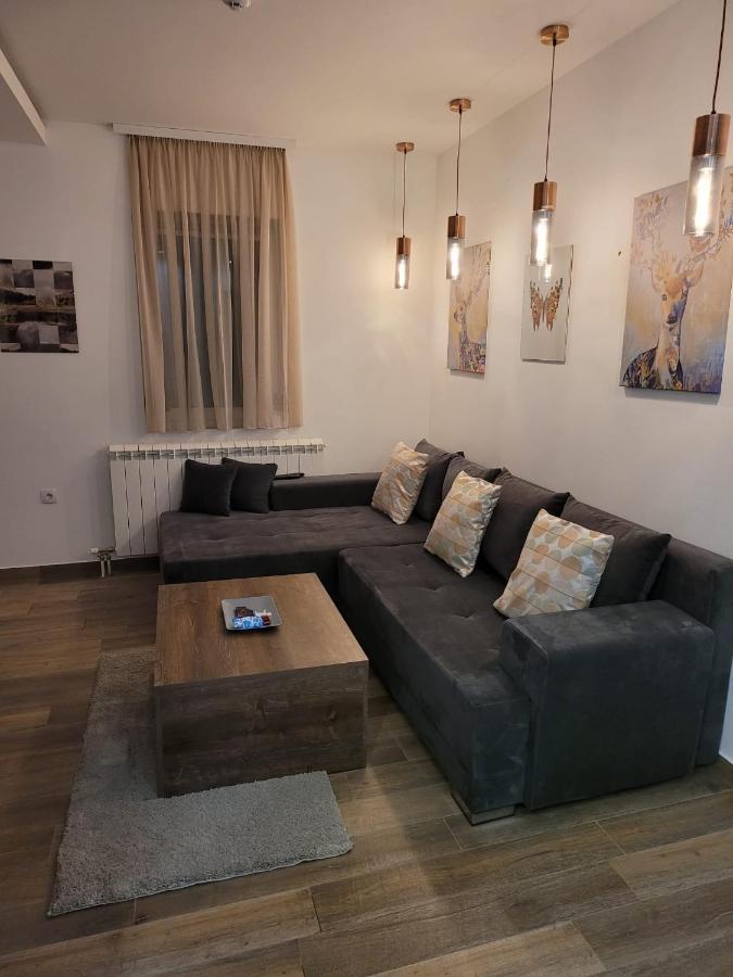 Kopaonik -Beautiful View Apartment- Skiing Εξωτερικό φωτογραφία