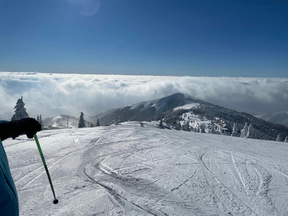 Kopaonik -Beautiful View Apartment- Skiing Εξωτερικό φωτογραφία