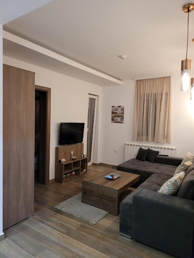 Kopaonik -Beautiful View Apartment- Skiing Εξωτερικό φωτογραφία