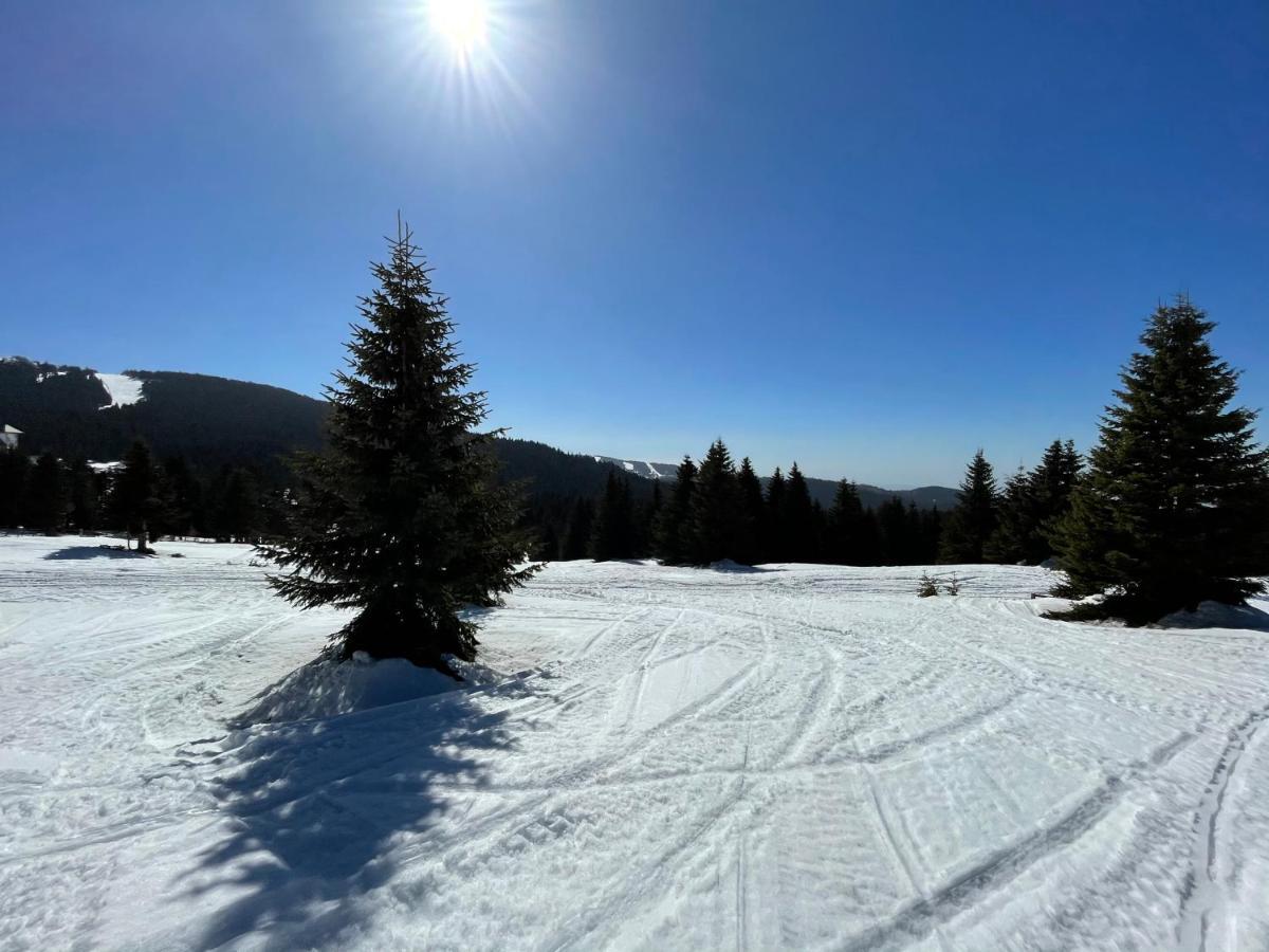 Kopaonik -Beautiful View Apartment- Skiing Εξωτερικό φωτογραφία